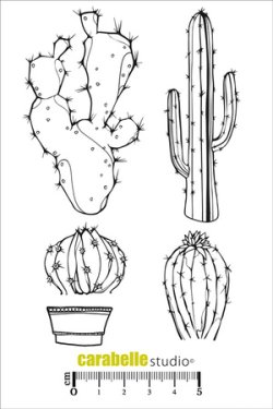 画像1: Cactus: Tampon A6
