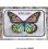 画像2: Patchwork Butterfly Collage Stamp  (Cling  Foam Stamps) (2)