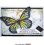 画像4: Patchwork Butterfly Collage Stamp  (Cling  Foam Stamps) (4)