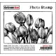 Tulips-Photo Stamps (Cling Foam Stamp)