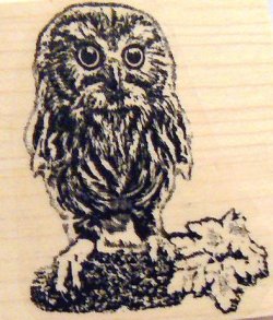 画像1: Owlet, owl baby rubber stamp