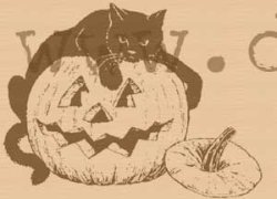 画像1: Halloween Cat on pumpkin rubber stamp
