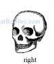Skull right (UM)