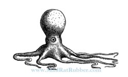 画像1: One Eyed Octopus (UM)