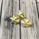 Brushed Gold 6-Point Star Brads(50個入り）