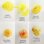 画像4: Sunburst Lemon : Brusho Crystal Colour 15g (4)