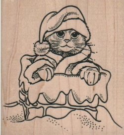画像1: Cat Santa in Chimney